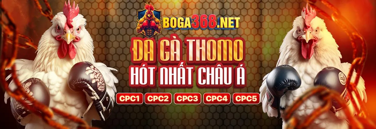 Đá gà trực tuyến ji88 nhà cái với chiến kê mạnh mẽ trên sân đấu